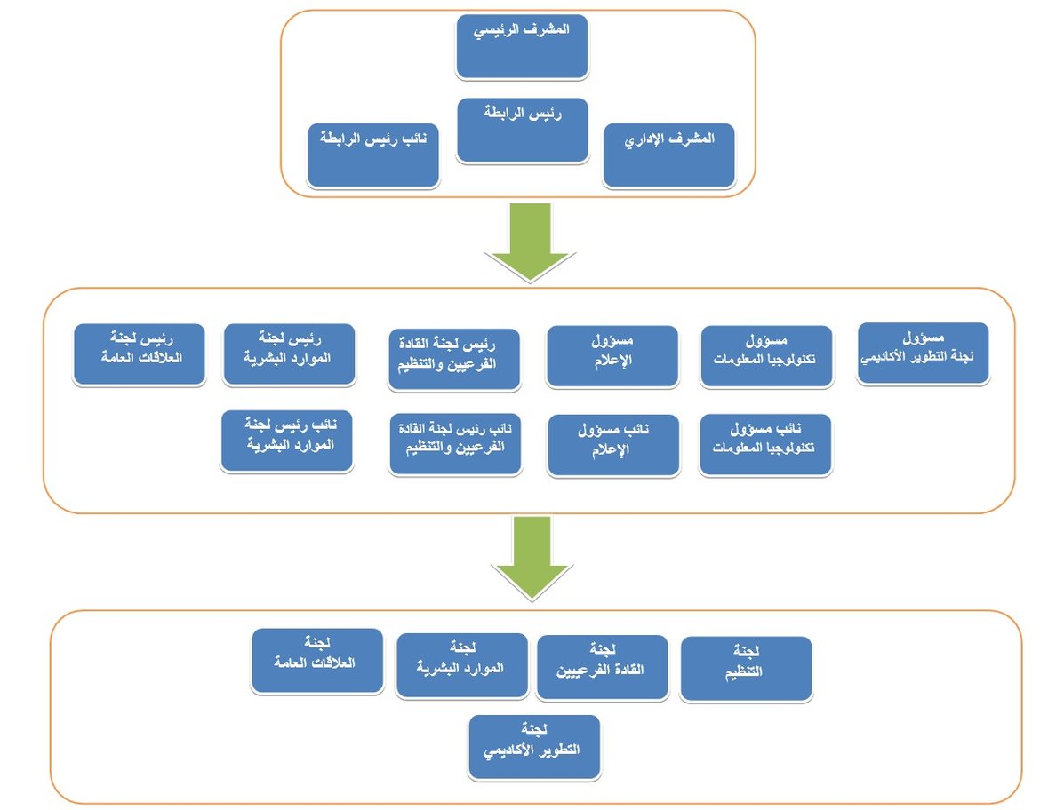 الهيكل التنظيمي الرئيسي لرابطة ابحاث طلبة الطب- فرع جامعة النجاح الوطنية